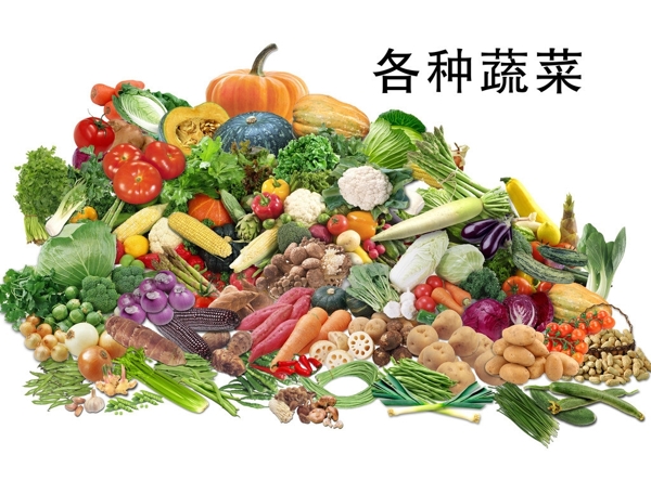 各種蔬菜圖片