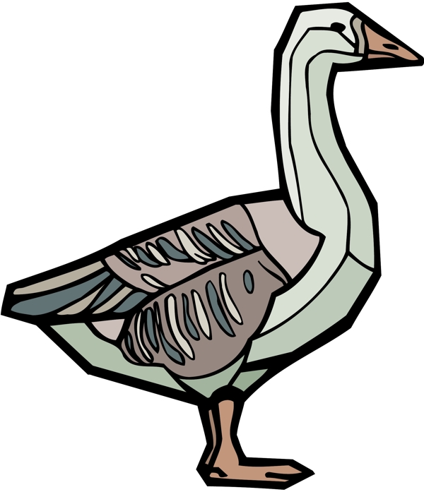 各種鳥類鳥動物矢量素材EPS格式0723