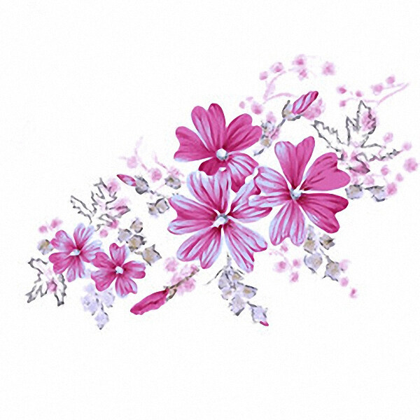 位圖時(shí)尚休閑女裝成熟優(yōu)雅女裝植物花卉免費(fèi)素材