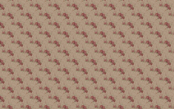 花卉古典237