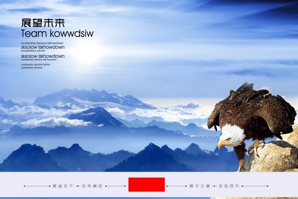 展望未来