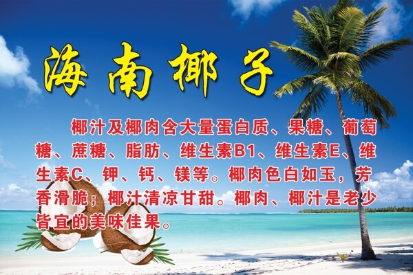 海南椰子