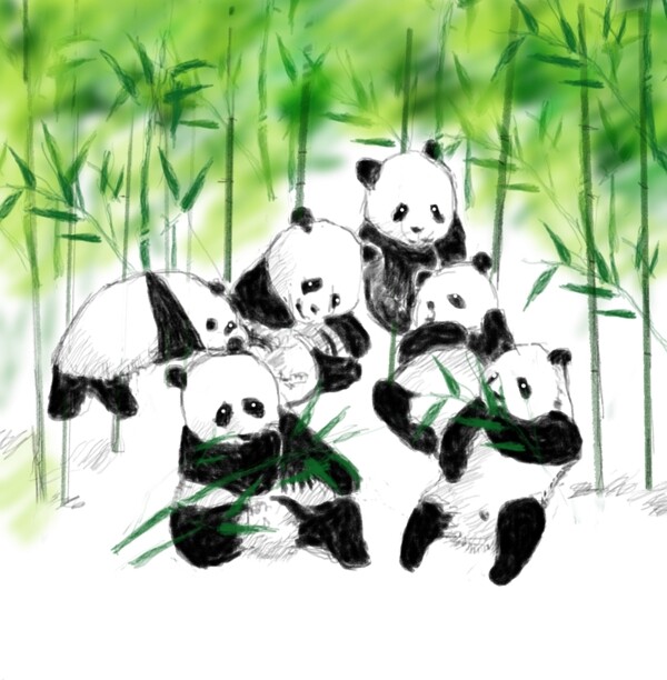 熊貓手繪