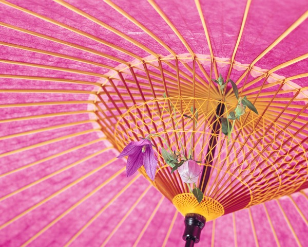 花藝圖片