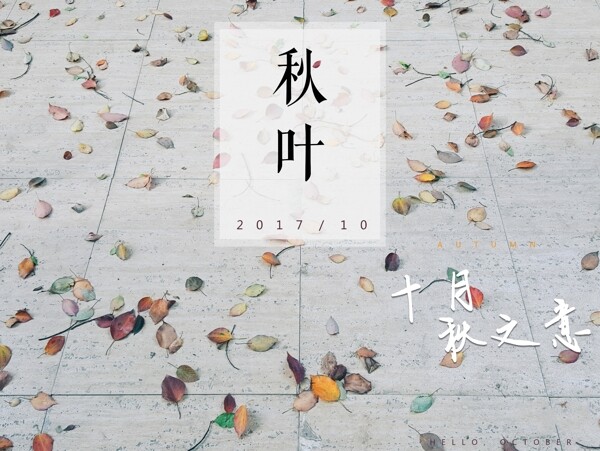 十月秋葉秋之意