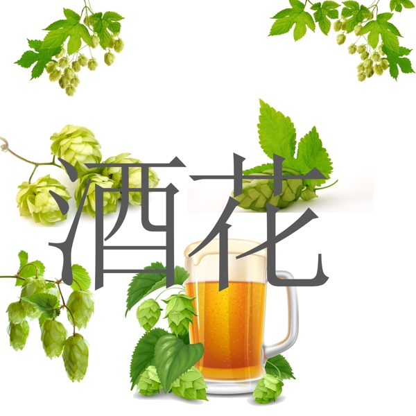 酒花