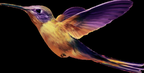 帅气紫色展翅飞翔小鸟产品实物