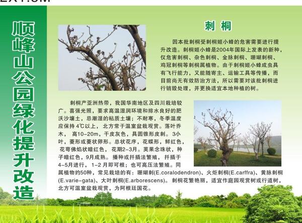 宣傳欄圖片