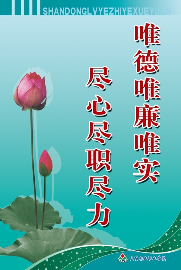警句荷花圖片