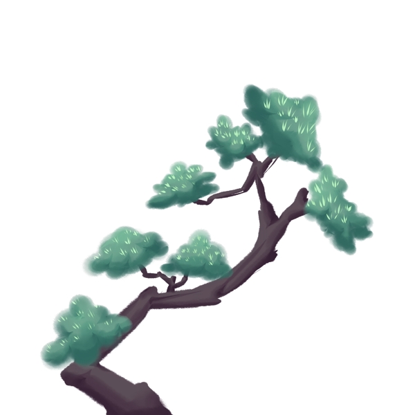 手绘水彩松树插画
