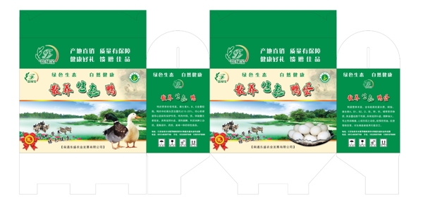 鴨蛋鴨包裝盒圖片