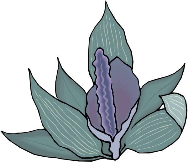 花朵花草鮮花矢量EPS格式0059