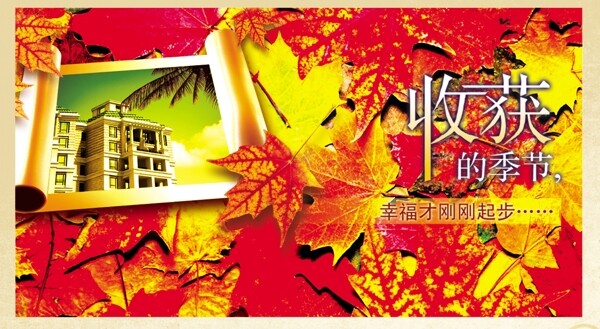 收獲的季節(jié)