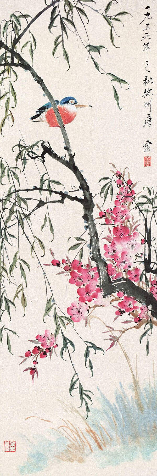 花鳥(niǎo)圖片