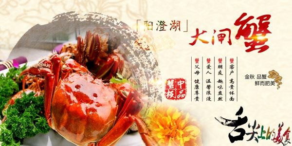 陽澄湖大閘蟹