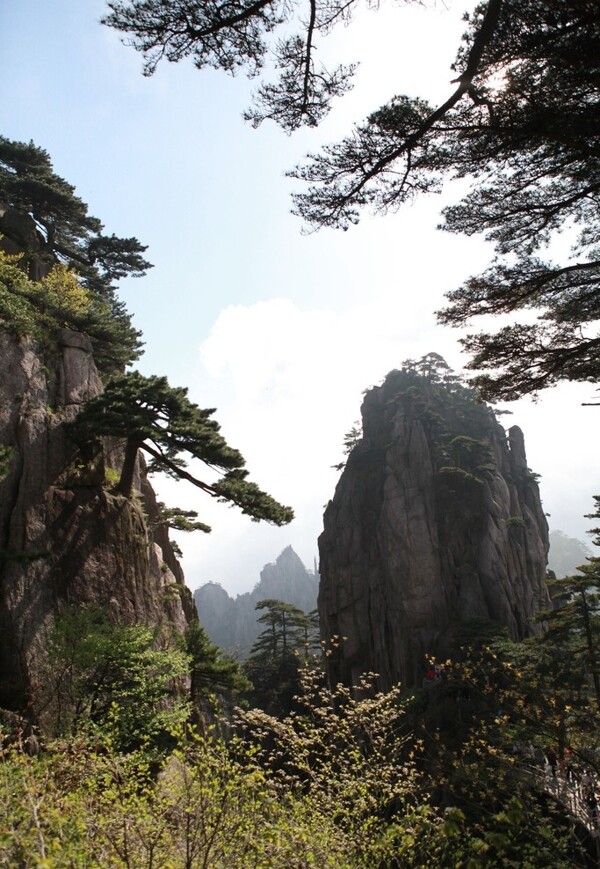 黃山圖片