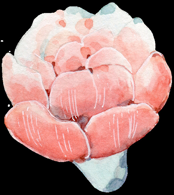 粉色花瓣透明裝飾圖案