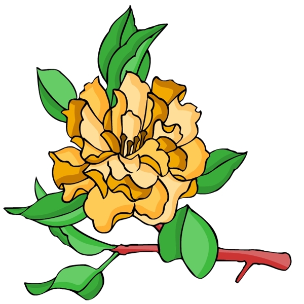 花卉古典插畫