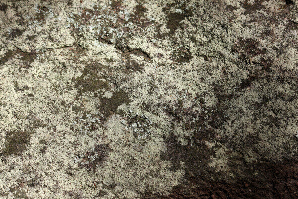 位圖特殊紋理免費素材