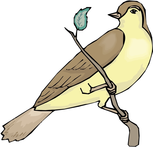 各種鳥類鳥動物矢量素材EPS格式0386