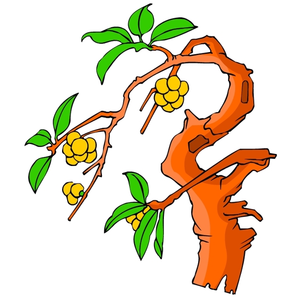 花卉古典插畫