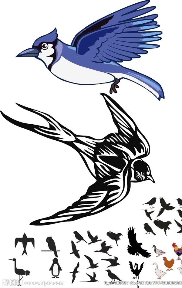 鳥