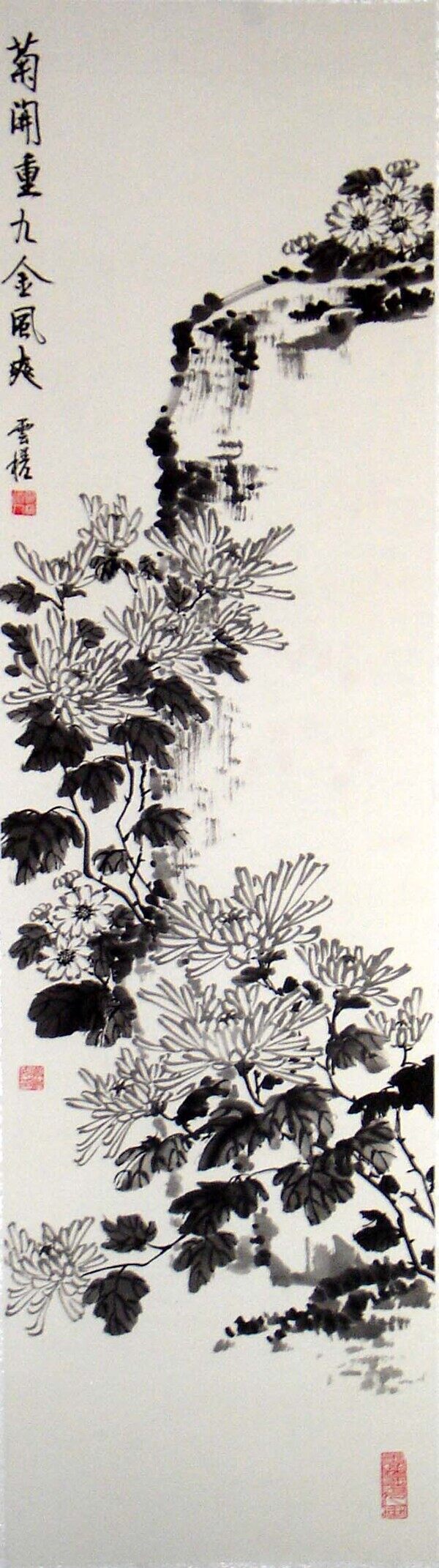 四君子菊花圖片