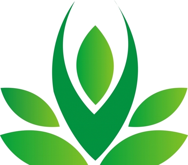 植物茶叶食品有机环保标