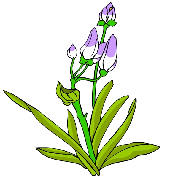 花卉古典插畫(huà)