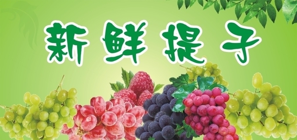 新鮮提子圖片
