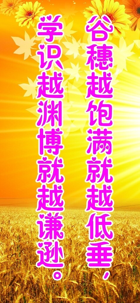 校園背景墻圖片