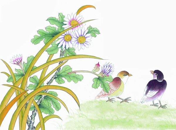 野花與草地上的鳥圖片