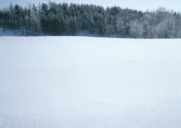 冰天雪地