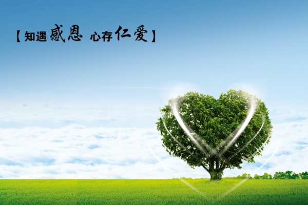 藍天白云感恩樹圖片