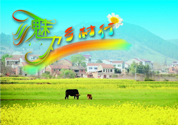 魅力
