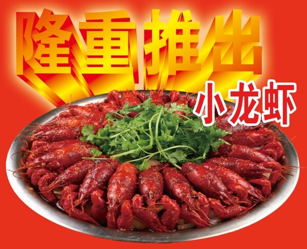 小龍蝦圖片