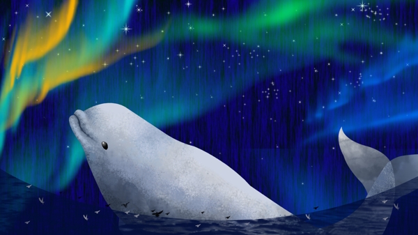 霓虹天际星空宇宙苍穹白鲸海洋
