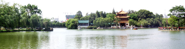 城市公園背景圖片