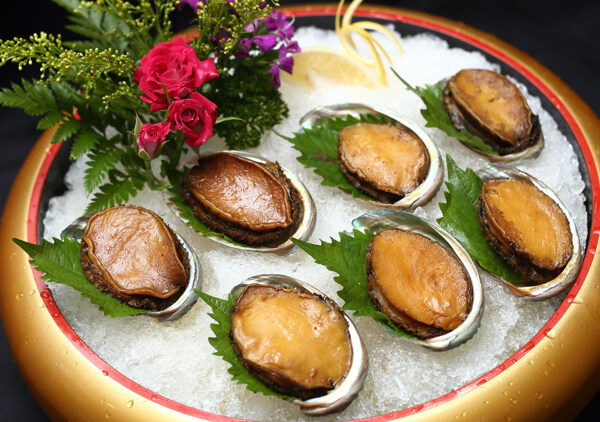 冰鎮(zhèn)八頭鮑