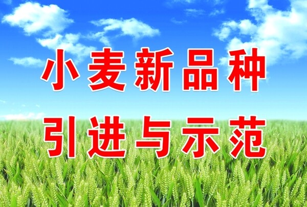 展示圖