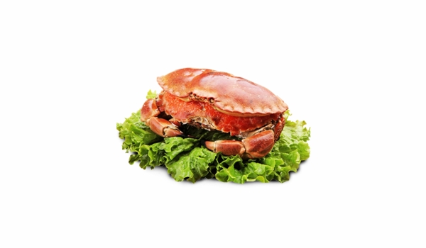 海鲜食物帝王蟹螃蟹蟹黄蔬菜美味搭配餐饮