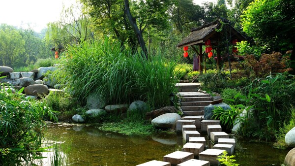四川五鳳鎮(zhèn)風景