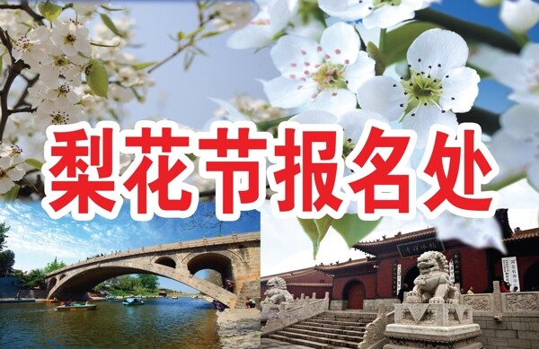 趙縣梨花節(jié)圖片