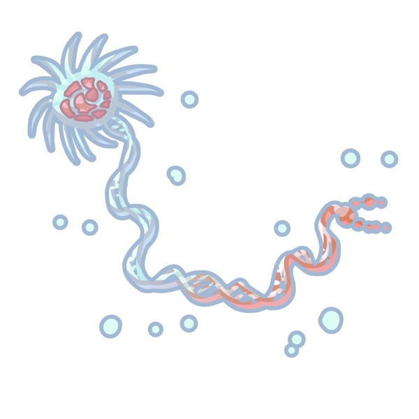 医疗病毒链球菌插画