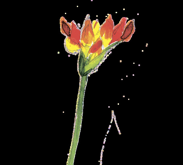 紅艷花枝透明裝飾素材