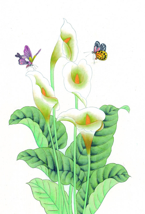 中國(guó)風(fēng)花小鳥喜鵲牡丹桃花芍藥中華藝術(shù)繪畫