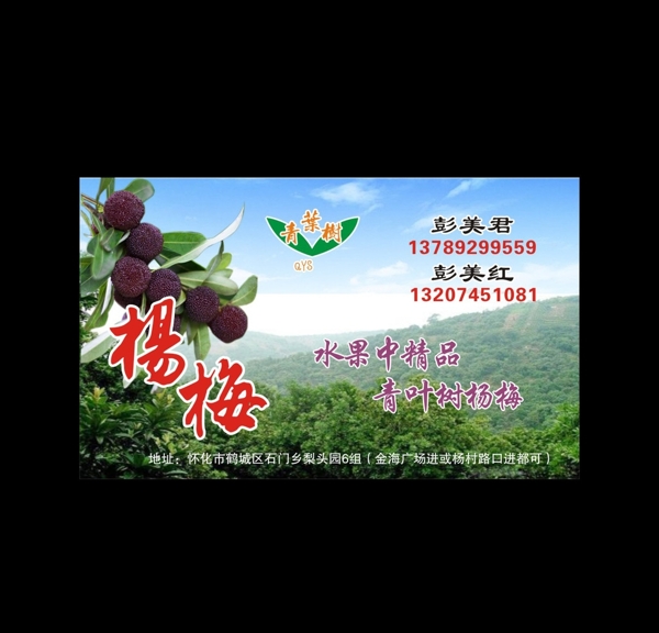 楊梅