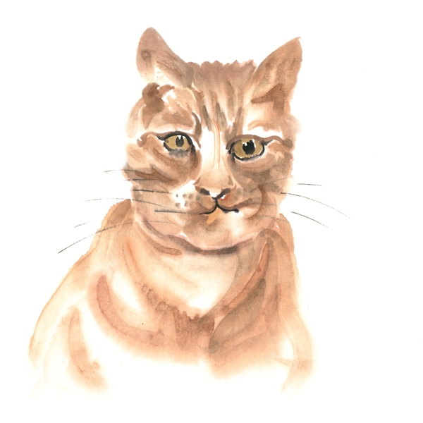 可爱的小猫水墨画PNG免抠素材