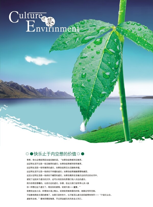 綠葉吐露珠