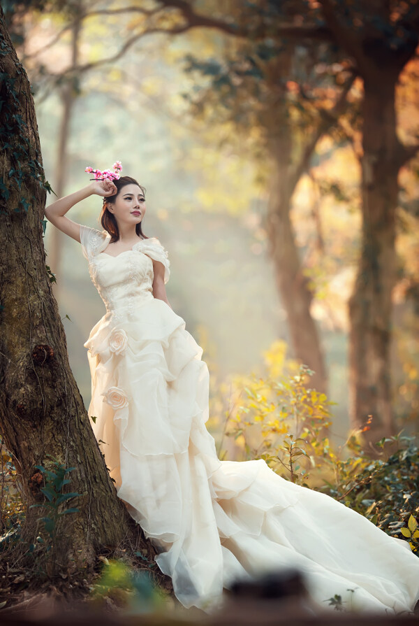美女白色婚莎户外森林清晨图片